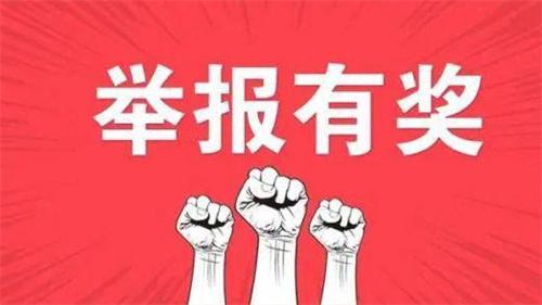 鲤城区出台招商新规：投资者可享免申请中介奖励！