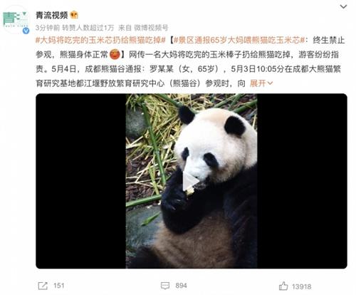 游客将食物扔给熊猫引公愤，成都熊猫谷宣布终身禁止其参观