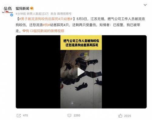 江苏无锡流浪狗事件引发公愤：男子被咬伤后踩死4只幼崽，已报警调查