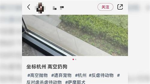 派出所回应杭州高空扔狗事件 事件正在处理中