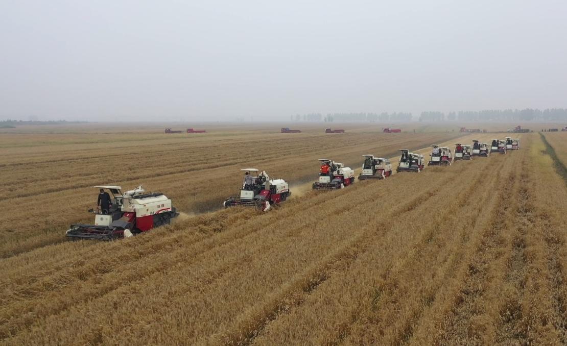 全力确保夏粮丰收，推进小麦跨区机收和机械化生产