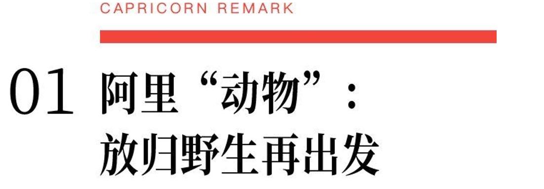 阿里巴巴50天变“野”：走出园区放归“野生”