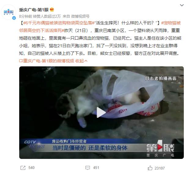 重庆巴南宠物猫高空坠落案引发公愤，猫主人报警调查展开