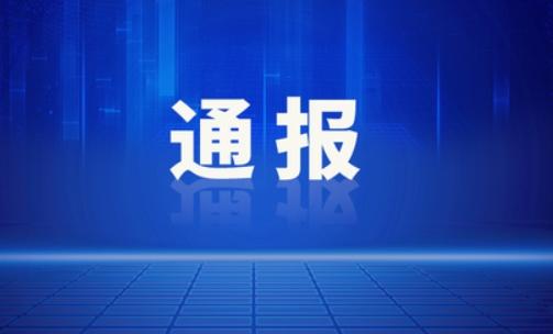 打击破坏营商环境行为，维护大连市的公平公正