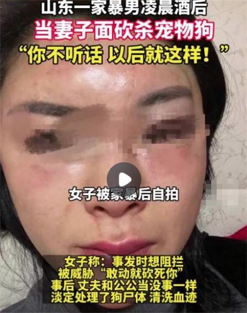 山东菏泽女性网友曝光家暴事件，丈夫当众砍死宠物犬！调查启动，追求公正惩罚！