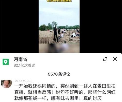 网红为了热度扎堆到麦地直播割麦