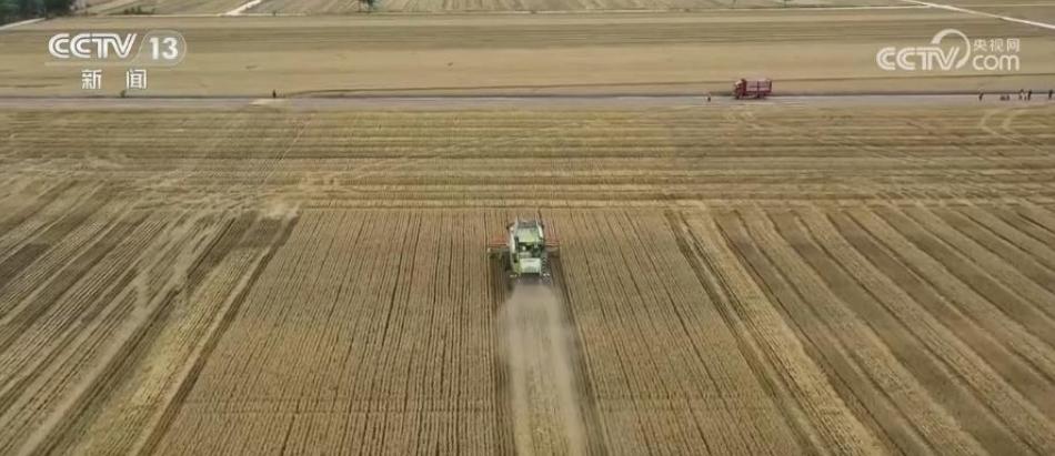 全国小麦机收全面展开，农机作业热度持续高涨