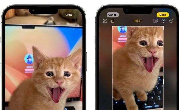 iOS 17更新提升照片应用裁剪功能，用户体验更轻松便捷