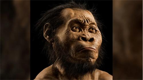 “纳莱迪人”会墓葬会生火 比智人早10万年 改写进化史