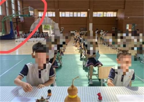 成都一小学生被室内篮球架砸至重伤