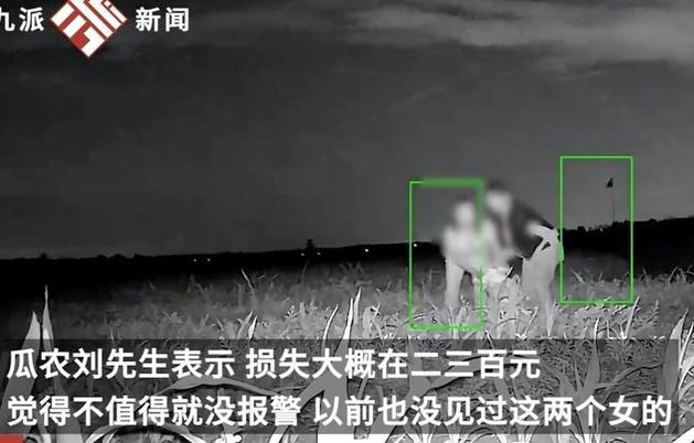天津两女子趁夜盗窃瓜农西瓜，引发社会关注
