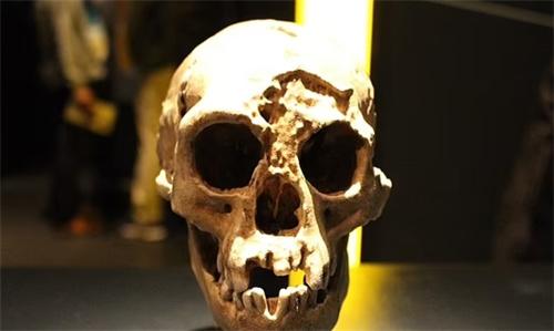 6万年前 印度尼西亚的“现实版霍比特人”面孔首次曝光