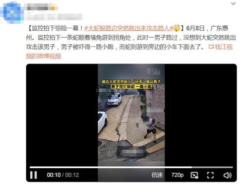 广东惠州惊险一幕！蛇突然攻击路过男子后钻入小车下方