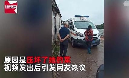 湖北荆州救护车被阻拦引发争议，急救与财产损失如何平衡？