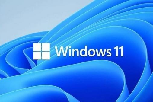  微软推出免费Windows 11虚拟机，助力C#开发者