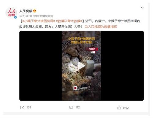 小猴子被困树洞，救援队伍劈木救援引起网友大圣联想