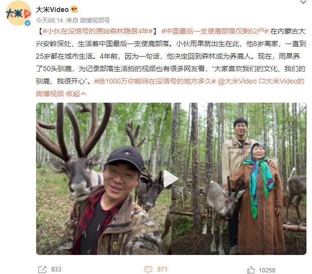 内蒙古大兴安岭深处：年轻人隐居原始森林4年，成为养鹿人的故事