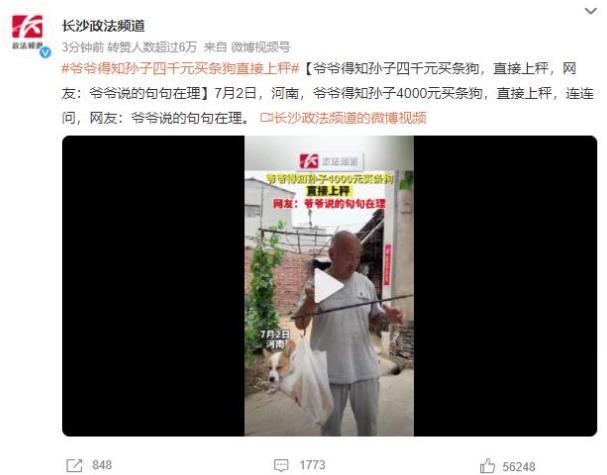 爷爷的审慎之举：河南故事引发热议，孙子花4000元买狗，爷爷放上秤并提问网友纷纷表示赞同