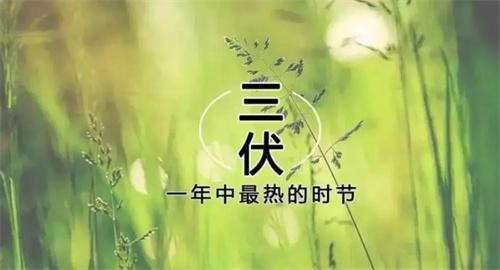 2023年“三伏天”将提前且持续加长，民众需做好防暑准备