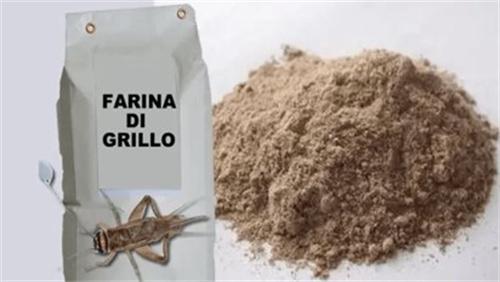 意大利做出蟋蟀面粉 应对全球变暖