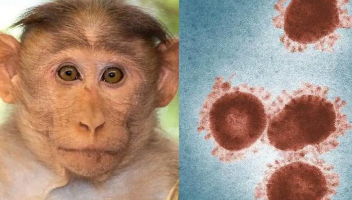 中国疾控中心发布猴痘疫情监测情况及预防措施