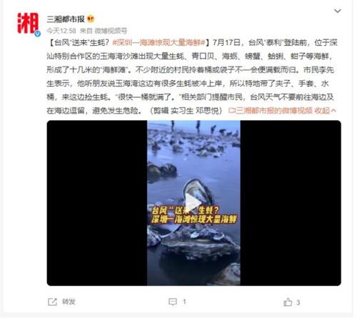 台风“泰利”带来丰盛海鲜，深圳玉海湾沙滩成“海鲜滩”