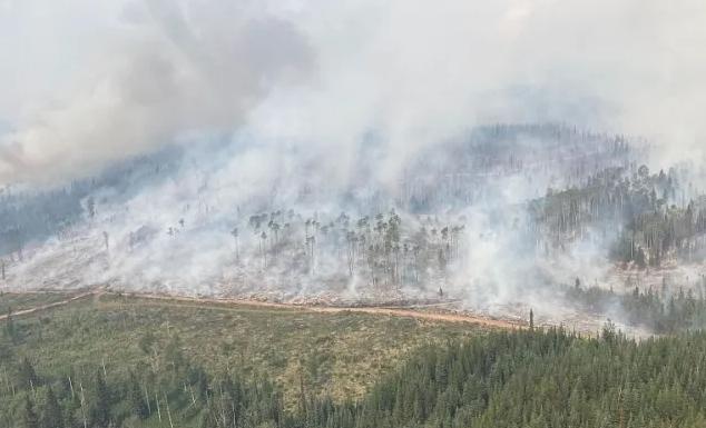 加拿大山火肆虐，面积相当冰岛国土，危险烟雾再次威胁美国