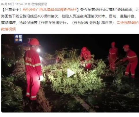 台风泰利袭击广西北海，超400棵树倒伏，抢险人员紧急清理工作展开