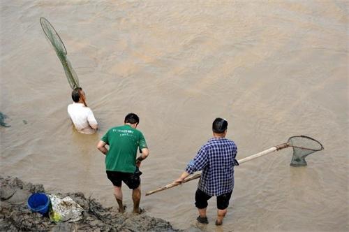 北京凉水河暴涨 仍有人越线捞鱼 河堤上明显有警戒线
