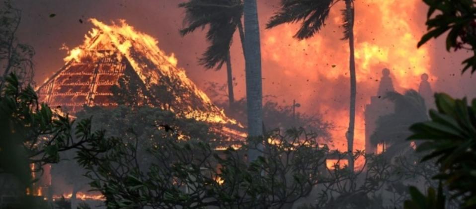 夏威夷毛伊岛大火：中国游客亲历灾难，重建面临巨大挑战