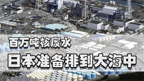 日本排核污水 鳗鱼价格下降跌六成