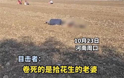 老人疑捡花生被卷入收割机身亡 老伴目睹了这场悲剧