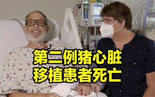 第二例接受猪心脏移植手术患者去世 因何原因去世