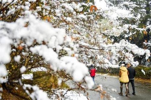 暴雪来袭11月6日哈尔滨中小学停课 长春中小学居家上课 