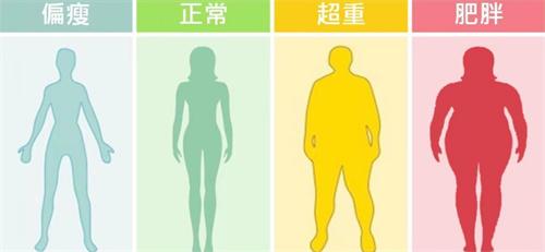 研究表明BMI越高患癌风险就越高 胖人要注意了