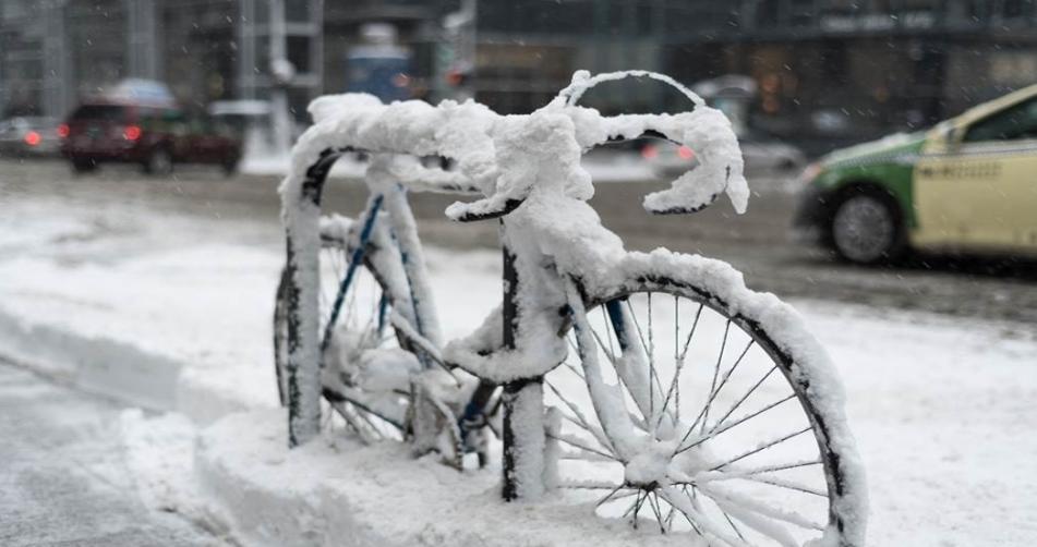 寒潮袭击山东：雪深破纪录，专家解读应对之策