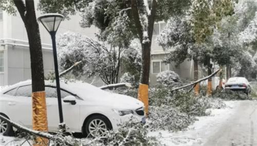 自驾回乡遇大雪有私家车被临时抛弃 私家车回家现状