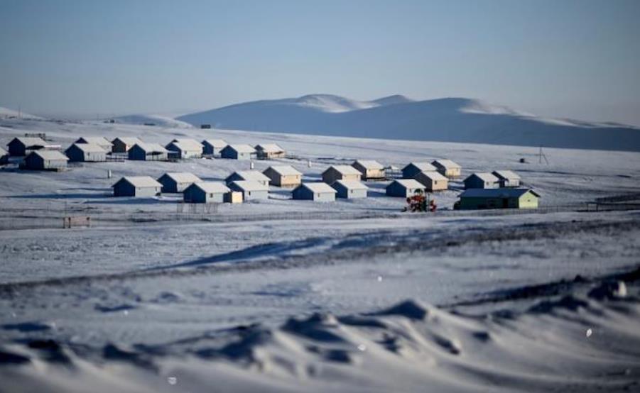 蒙古国近50年来罕见雪灾袭击，暴风雪天气重创当地牧民生计