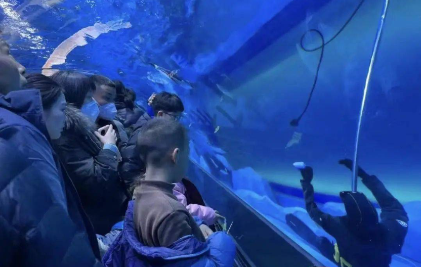 郑州海洋馆潜水员溺亡事件：安全管理再遭质疑