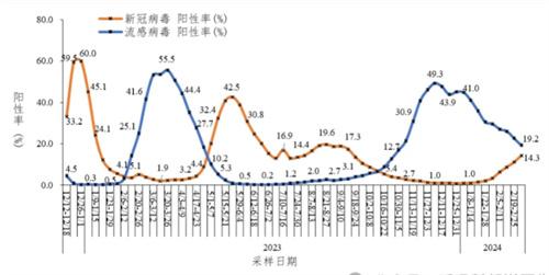 新冠阳性率升高四倍（关于新冠阳性率升高四倍的简介）