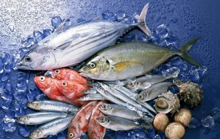 台湾曝光：日本秋刀鱼含致癌物超标40倍，岛内网民忧心食品安全