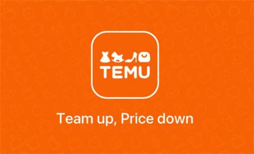 PayPay支持Temu，中国电商入侵日本（关于中国电商的简介）