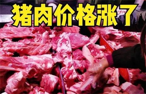 肉价反弹猪周期拐点未至（关于肉价反弹拐点未至的简介）