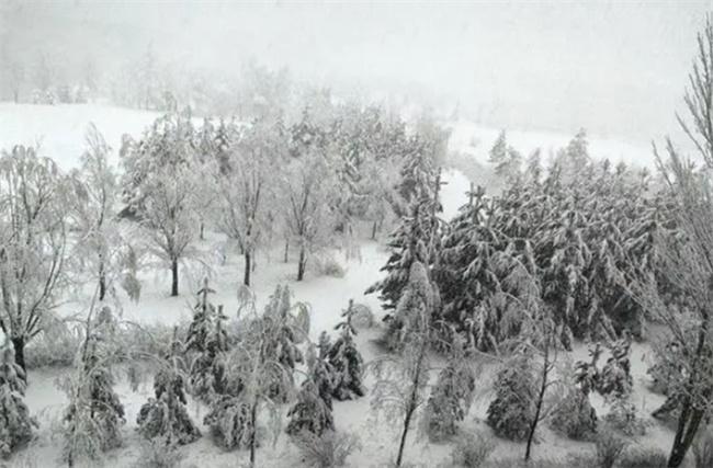 内蒙古多伦县突降大雪，交通受阻学校停课，气象部门发布结冰预警